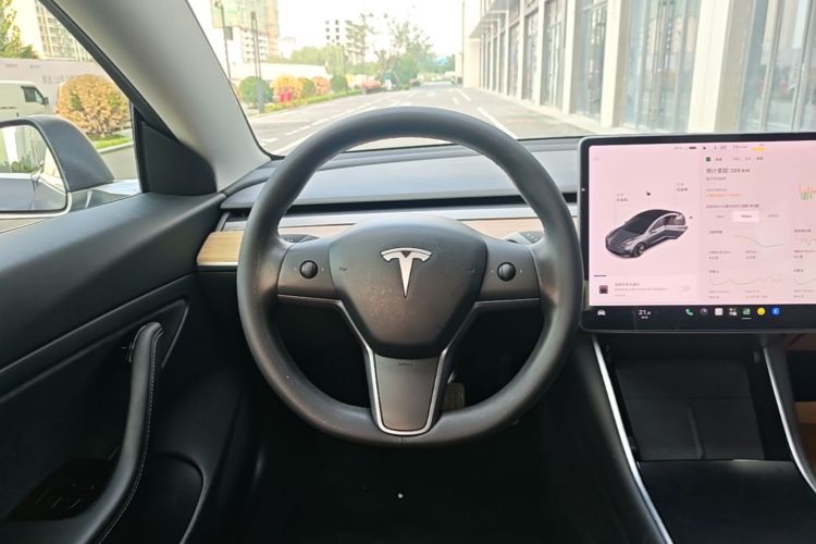 Tesla Model 3 2020 #11 Tesla Model 3 2020 car image #11