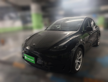Tesla Model Y 2023 car image 
