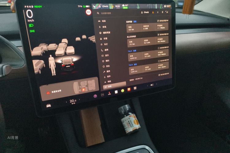 Tesla Model Y 2021 #10 Tesla Model Y 2021 car image #10