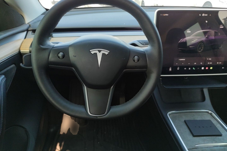 Tesla Model Y 2022 car image #15