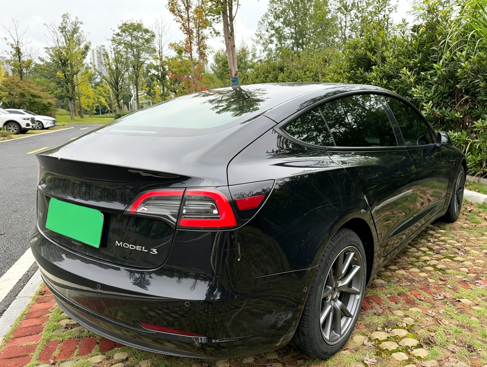 Tesla Model 3 2022 car image #5