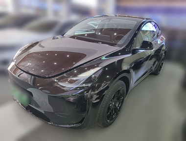 Tesla Model Y 2023 Tesla Model Y 2023 car image