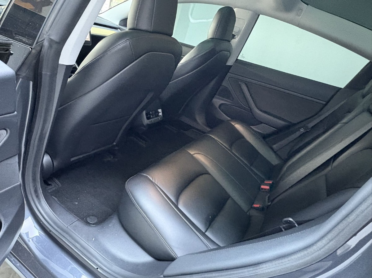 Tesla Model 3 2020 car image #5