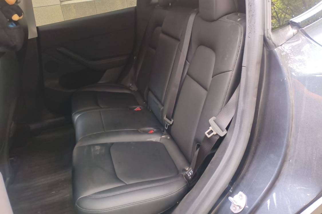 Tesla Model Y 2024 imagen de coche #8