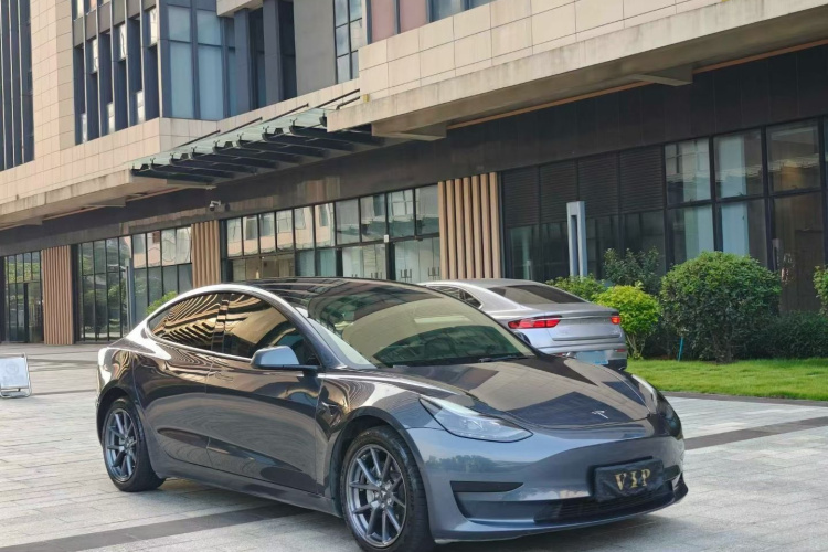 Tesla Model 3 2021 car image #4