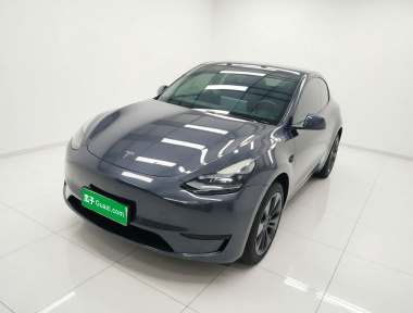 Tesla Model Y 2024 Tesla Model Y 2024 car image