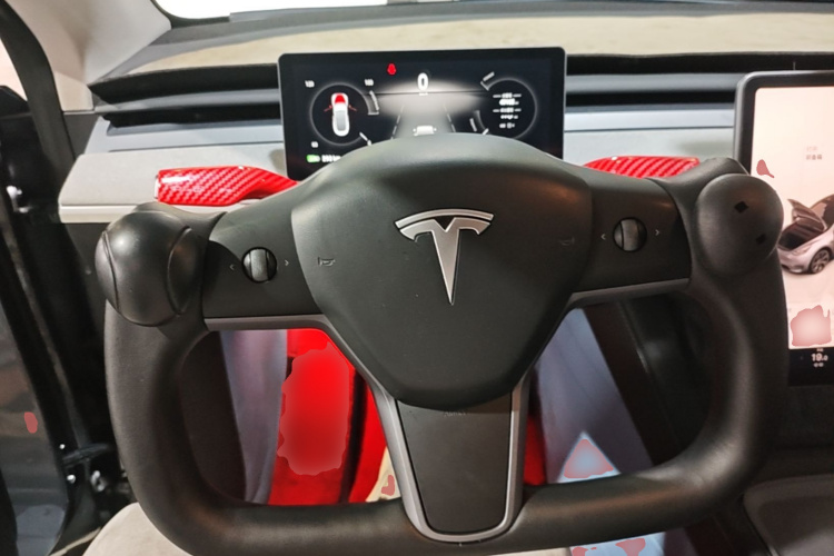 Tesla Model Y 2024 car image #15