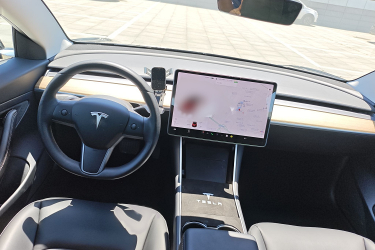 Tesla Model 3 2020 car image #9