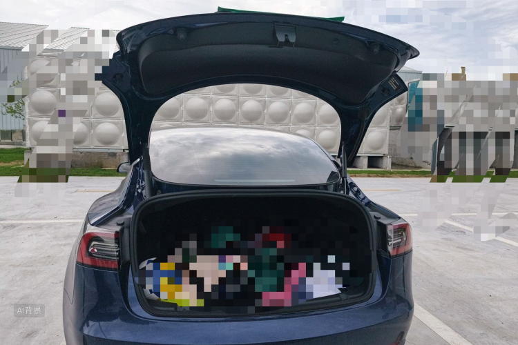 Tesla Model 3 2021 car image #21