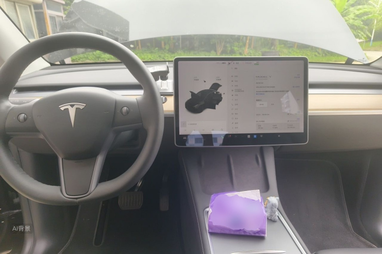 Tesla Model Y 2021 #11 Tesla Model Y 2021 car image #11
