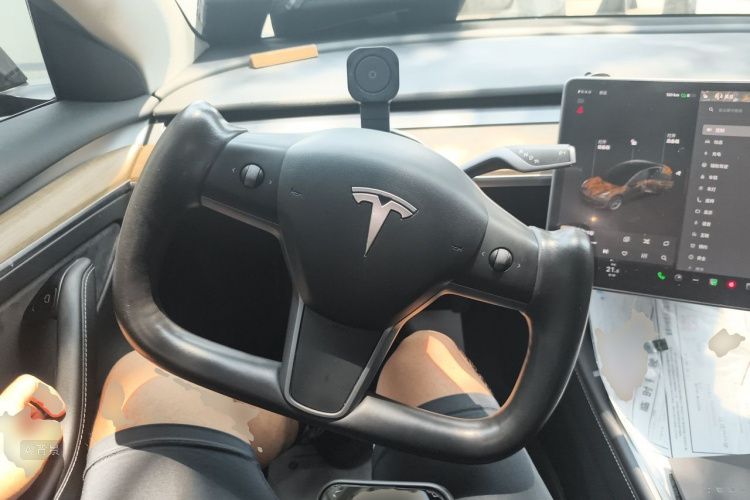 Tesla Model 3 2022 immagine di auto #12