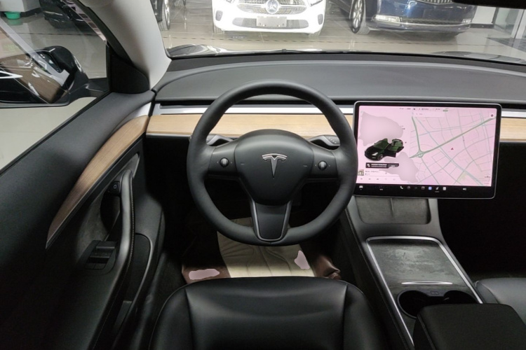 Tesla Model 3 2021 car image #15