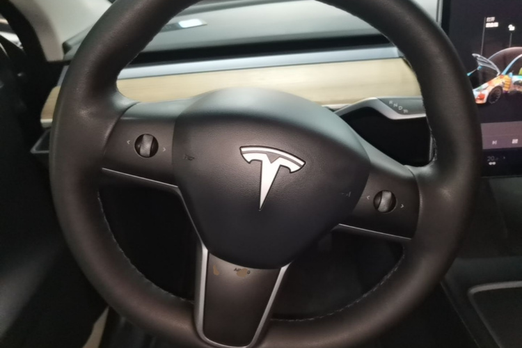 Tesla Model Y 2021 #11 Tesla Model Y 2021 car image #11