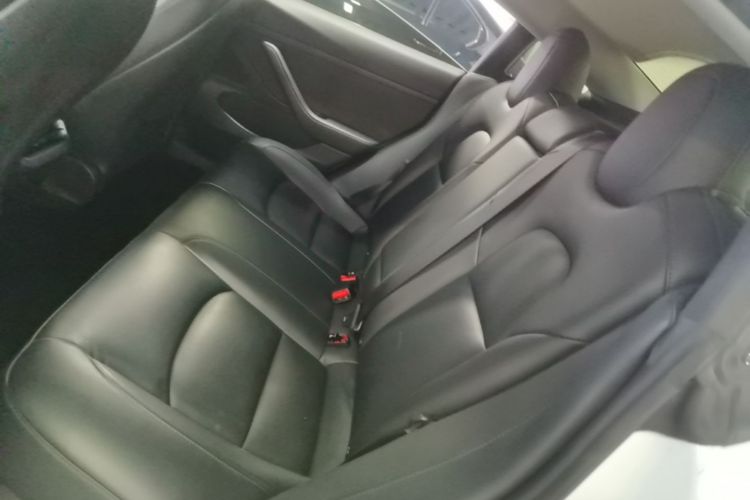 Tesla Model 3 2020 #17 Tesla Model 3 2020 car image #17