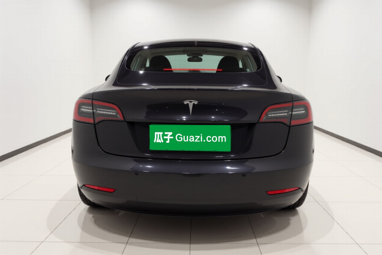 Tesla Model 3 2021 car image #6