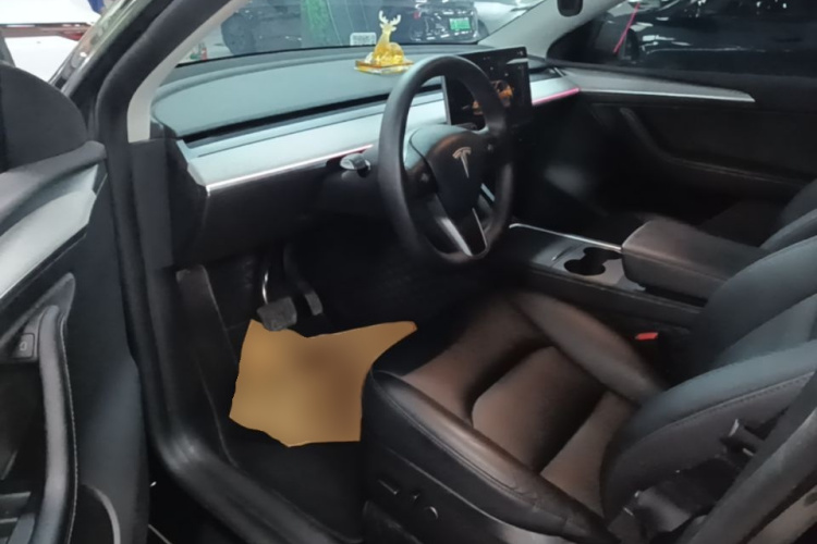 Tesla Model Y 2023 #16 Tesla Model Y 2023 car image #16