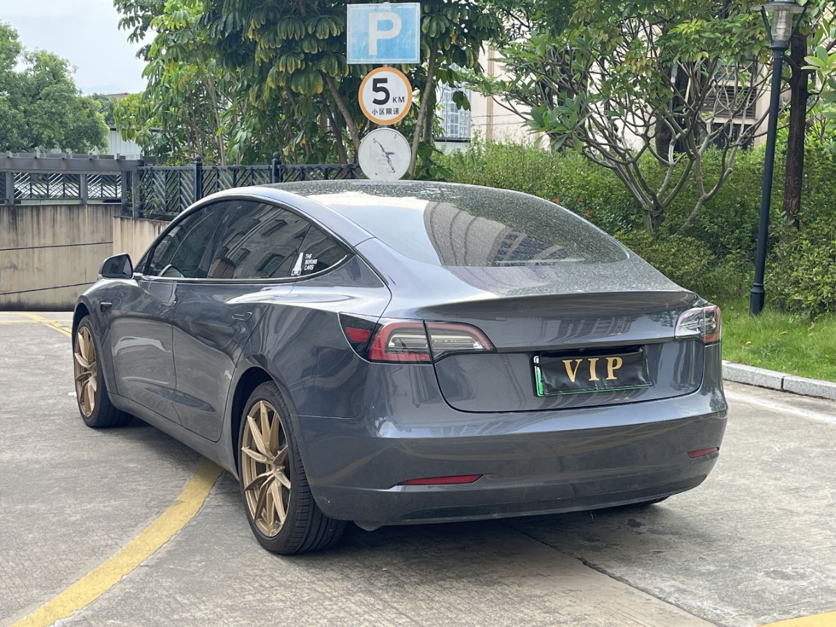 Tesla Model 3 2020 #7 Tesla Model 3 2020 car image #7