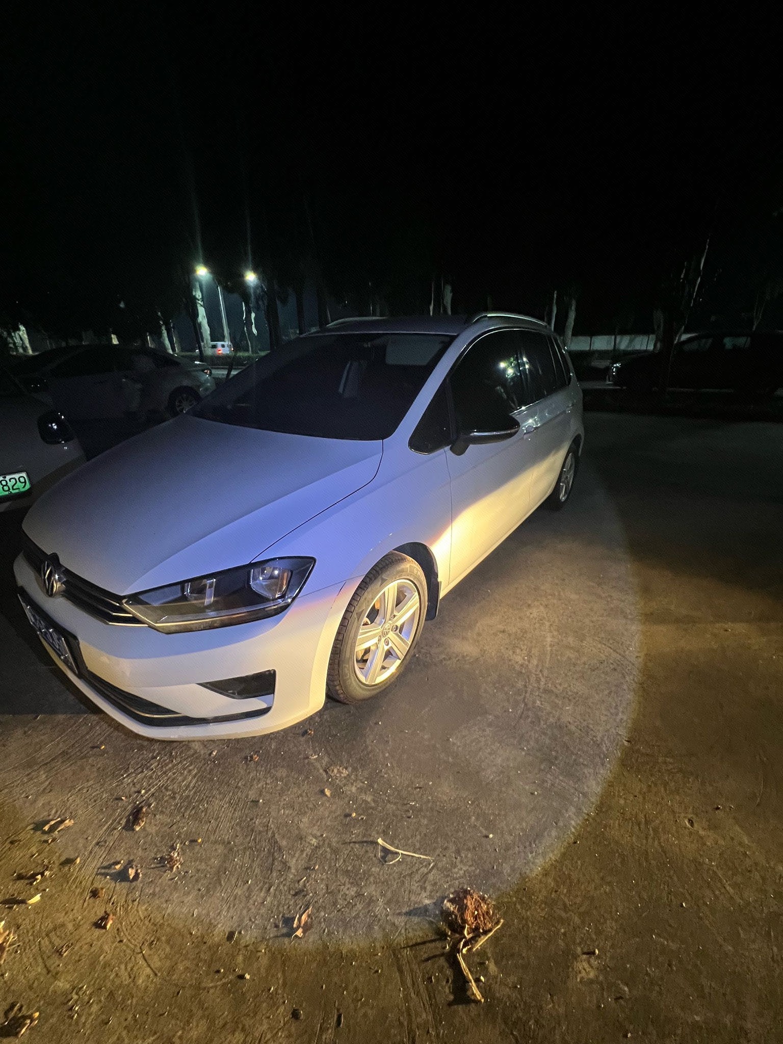 Volkswagen Golf Sportsvan 2019 Volkswagen Golf Sportsvan 2019 car image