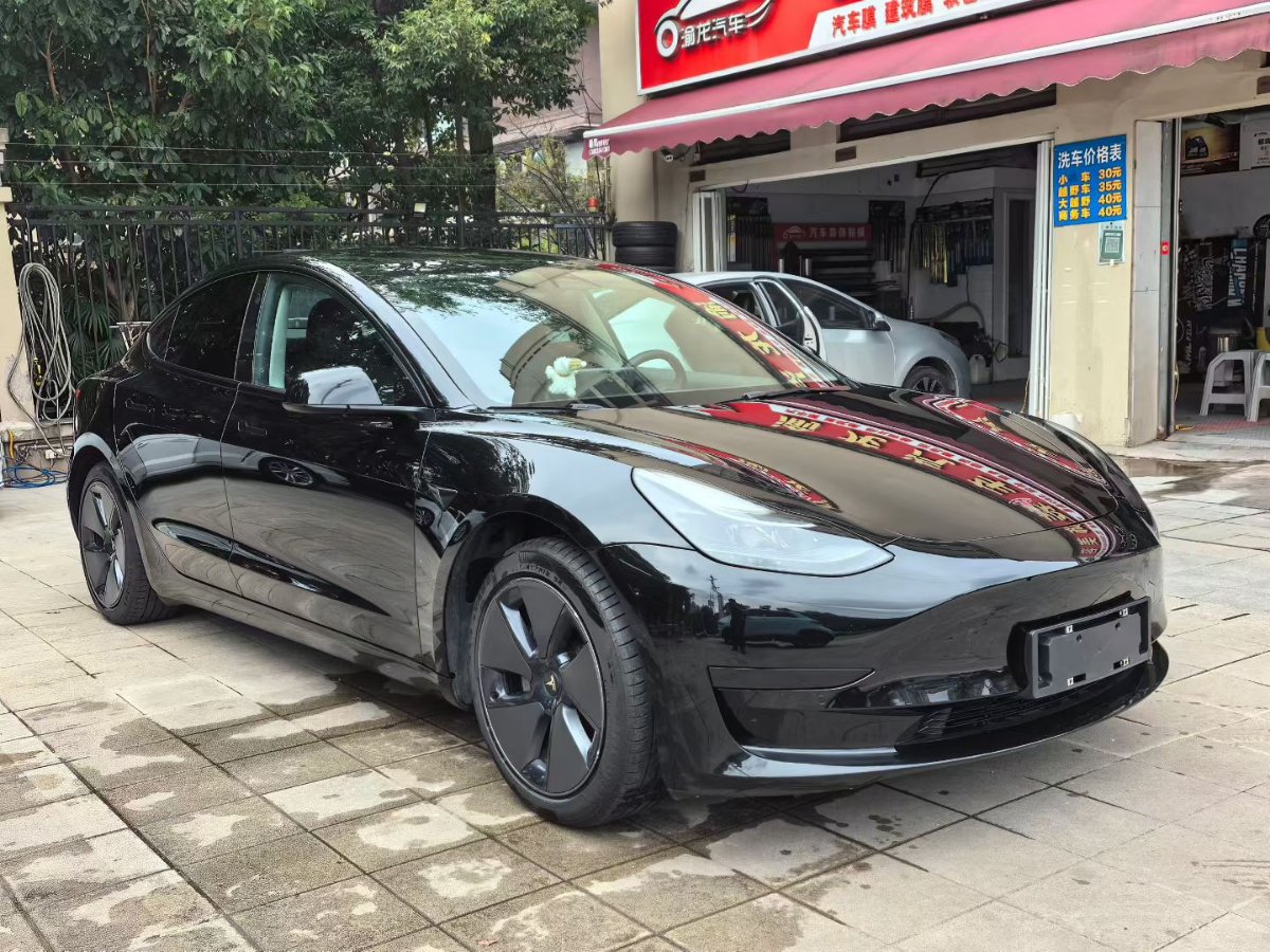 Tesla Model 3 2022 #3 Tesla Model 3 2022 car image #3