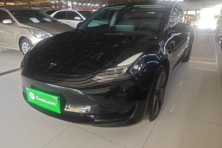 Tesla Model 3 2023 immagine di auto #2