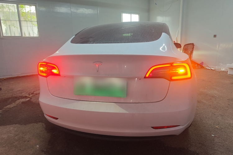Tesla Model 3 2020 #4 Tesla Model 3 2020 car image #4