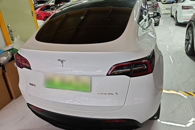 Tesla Model Y 2023 #6 Tesla Model Y 2023 car image #6