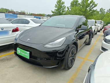Tesla Model Y 2023 car image 