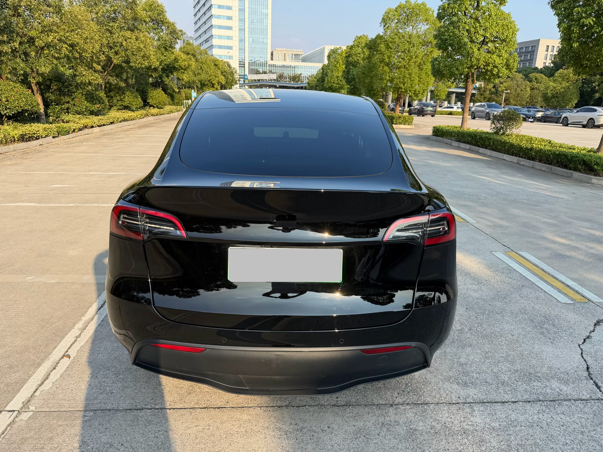 Tesla Model Y 2023 car image #6