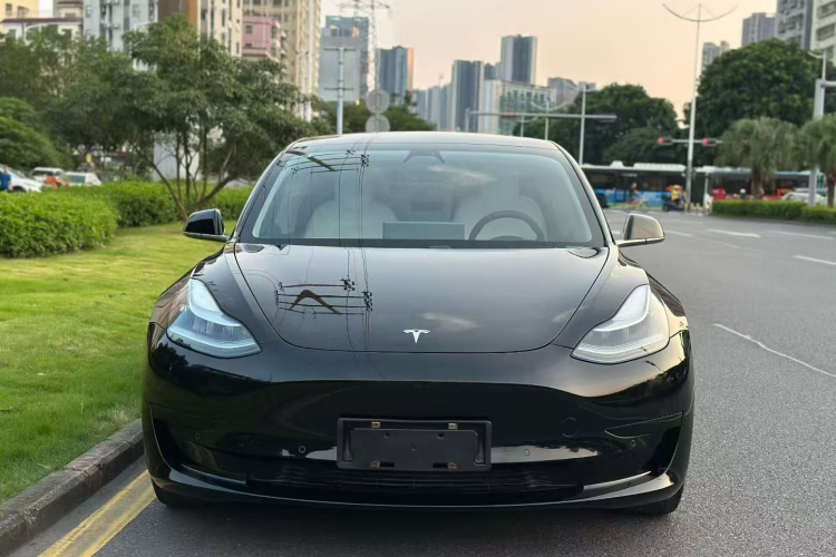 Tesla Model 3 2020 #3 Tesla Model 3 2020 car image #3