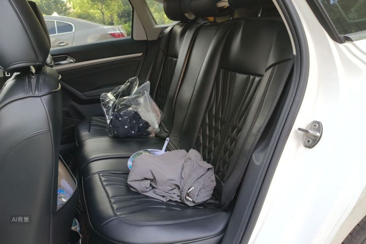 Volkswagen Lavida 2021 car image #19