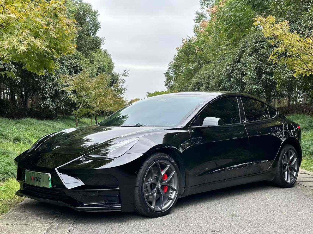 Tesla Model 3 2022 #2 Tesla Model 3 2022 car image #2