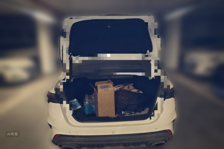 GEELY Binray 2022 #21 GEELY Binray 2022 immagine di auto #21