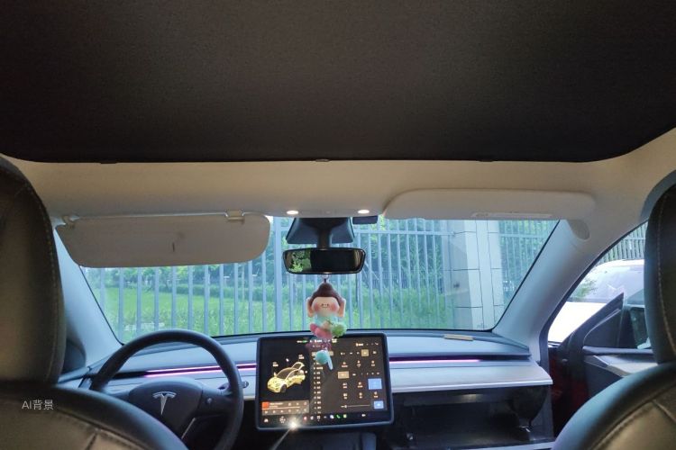Tesla Model Y 2021 car image #20