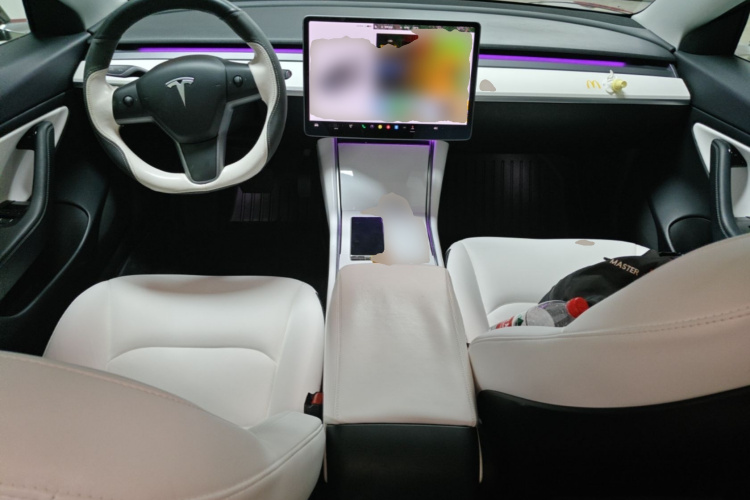 Tesla Model 3 2020 #11 Tesla Model 3 2020 car image #11