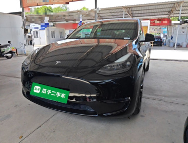 Tesla Model Y 2021 Tesla Model Y 2021 car image