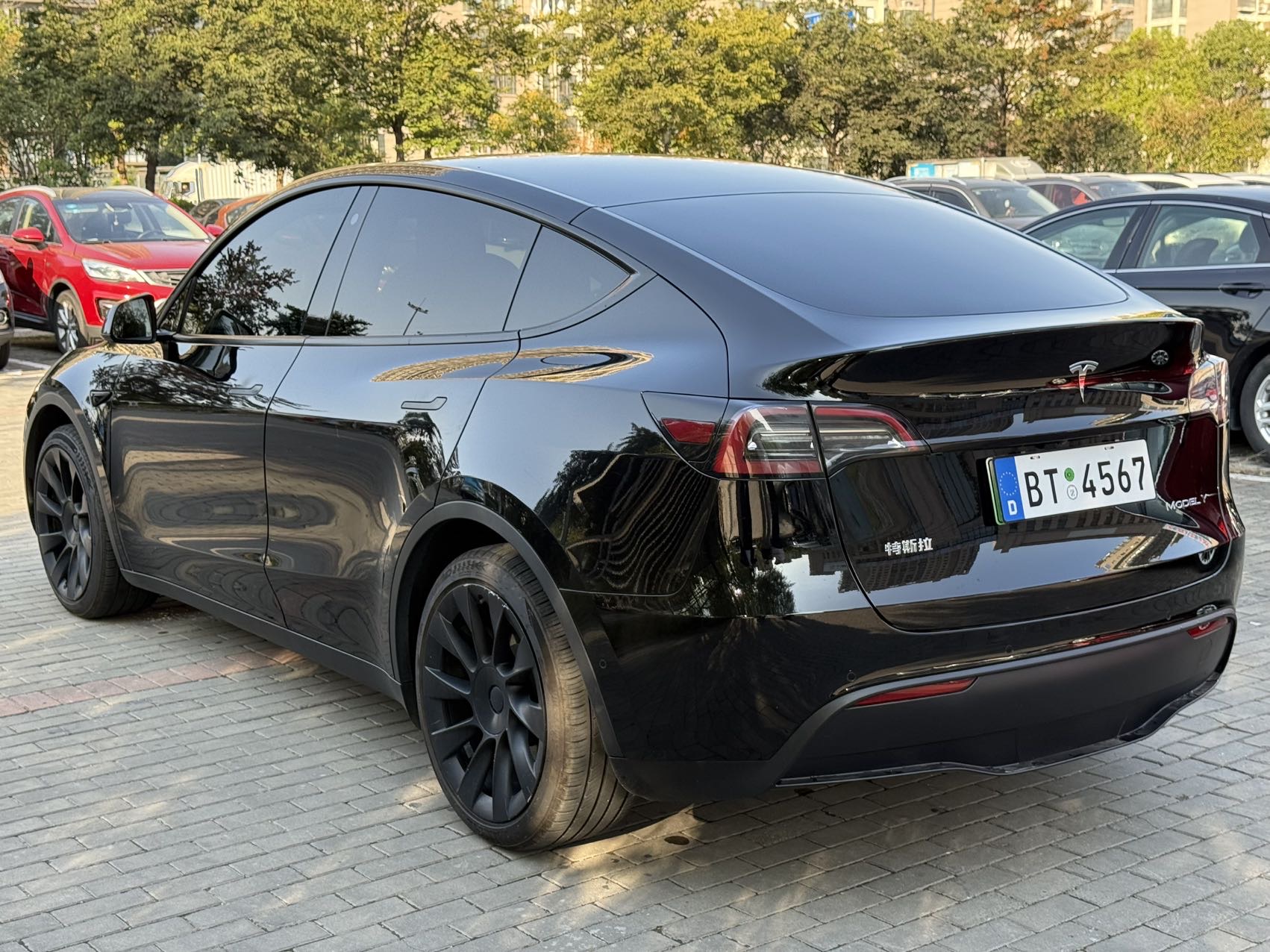 Tesla Model Y 2022 car image #7