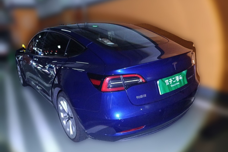 Tesla Model 3 2021 car image #5