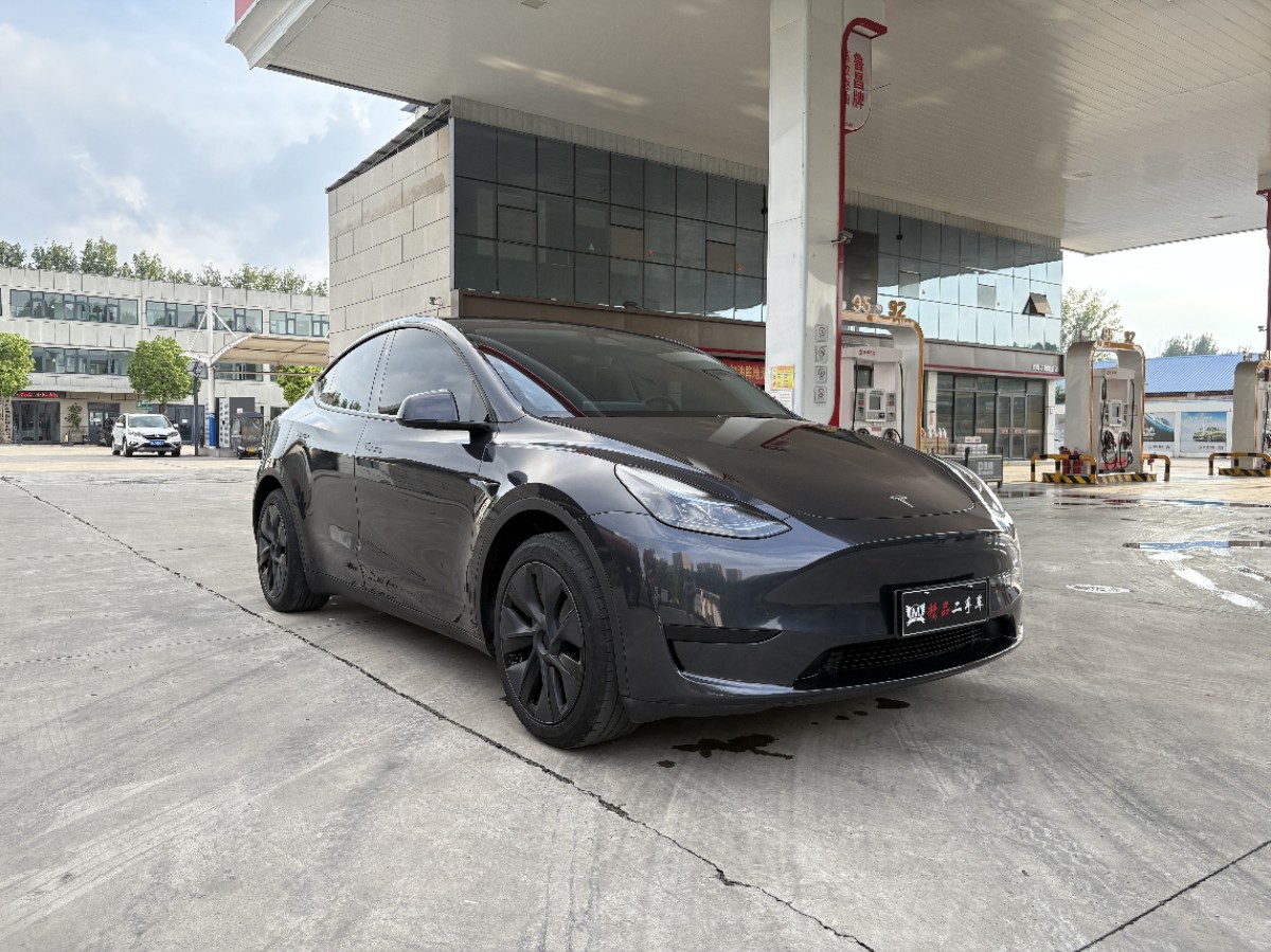 Tesla Model Y 2024 car image 