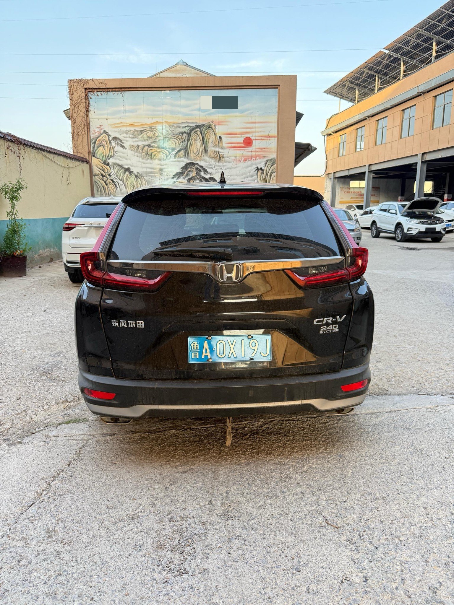 Honda CR-V 2020 car image #4
