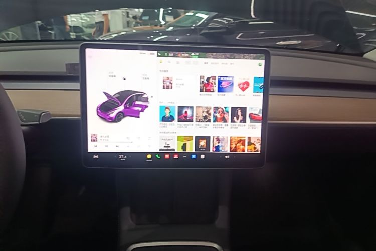 Tesla Model Y 2021 car image #13