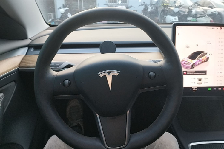 Tesla Model 3 2022 car image #11