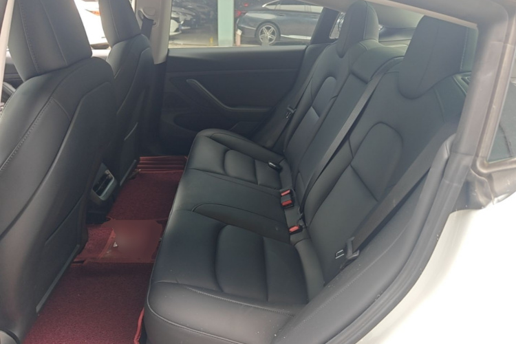 Tesla Model 3 2020 car image #13