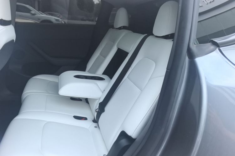 Tesla Model Y 2024 car image #17
