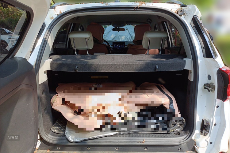 BYD Yuan Pro 2023 car image #21