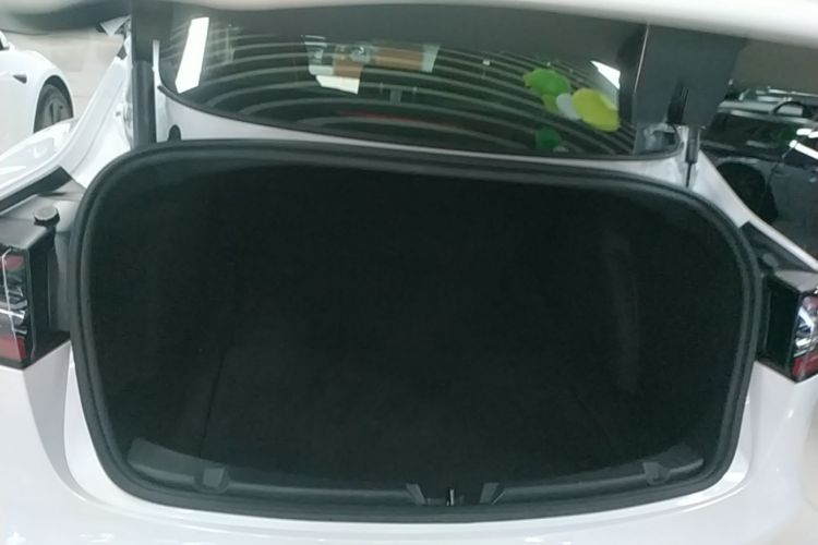 Tesla Model 3 2021 car image #21