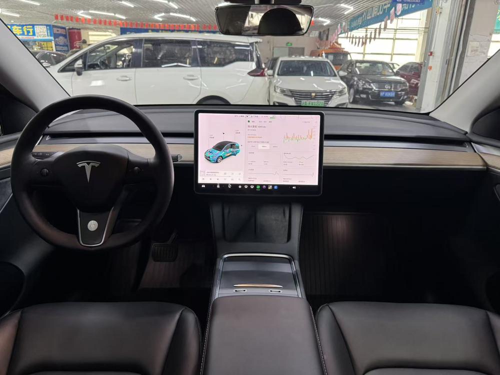 Tesla Model Y 2021 car image #10
