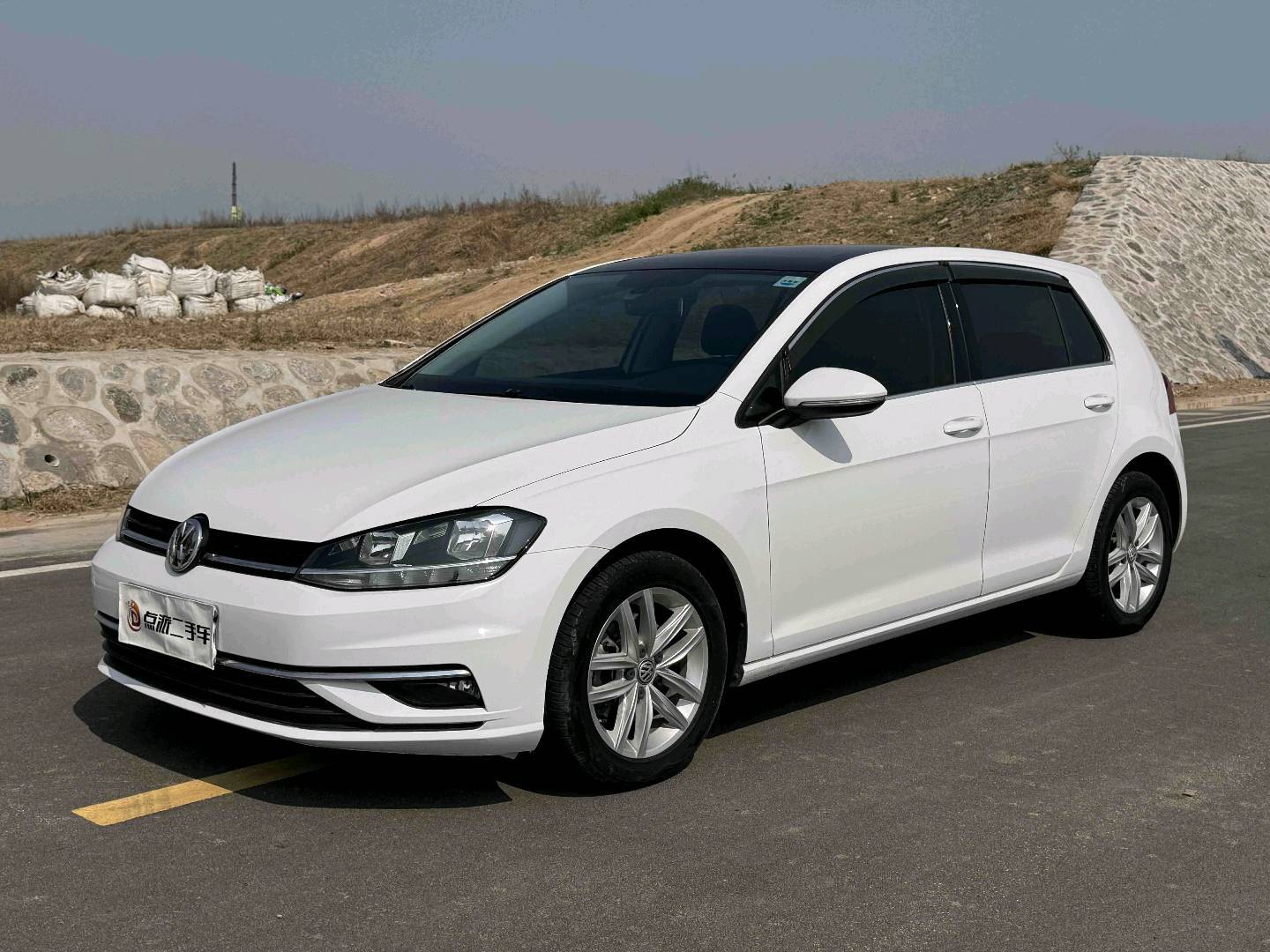 Volkswagen Golf 2019 Volkswagen Golf 2019 car image