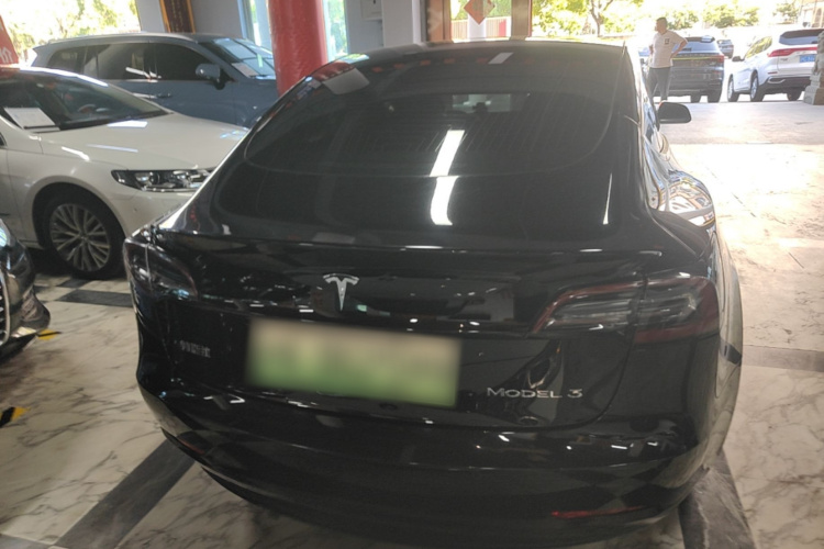 Tesla Model 3 2020 car image #6