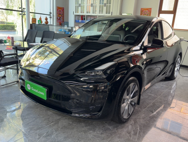 Tesla Model Y 2023 Tesla Model Y 2023 car image