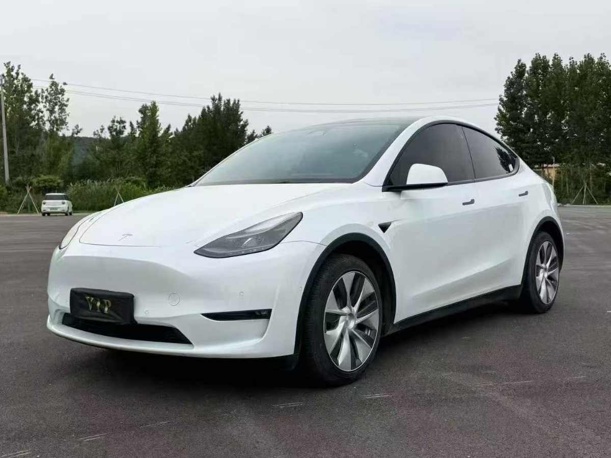 Tesla Model Y 2021 car image 